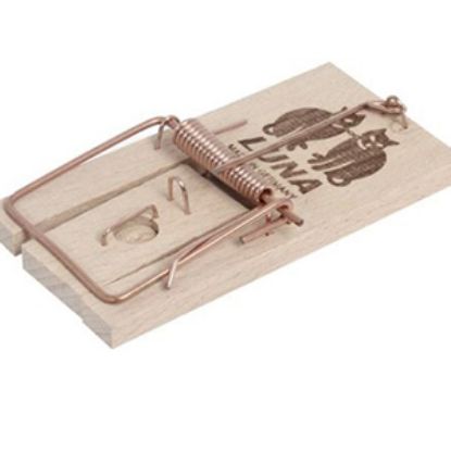 Picture of MOUSE TRAPS 2 pack x6